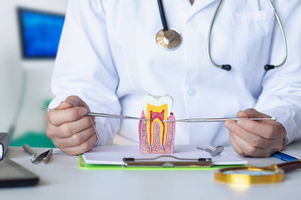 Best 24-Hour Emergency Dental Care in Marshall, IL